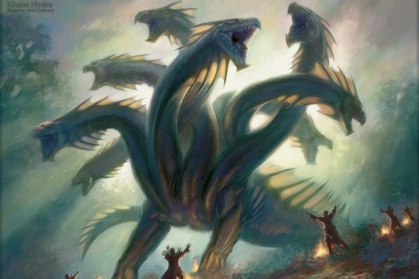 Kraken что это за магазин