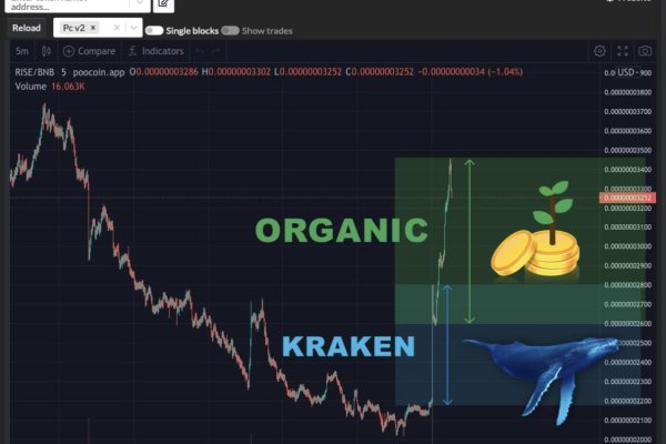Kraken 6 at