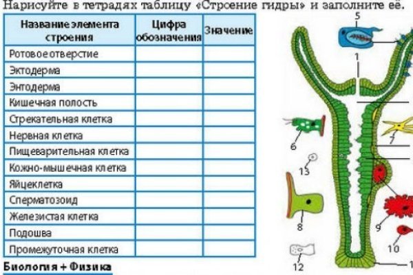 Kraken darknet зеркала