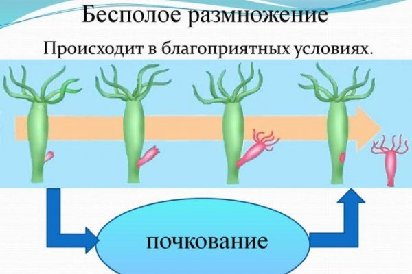 Kraken официальный сайт вход