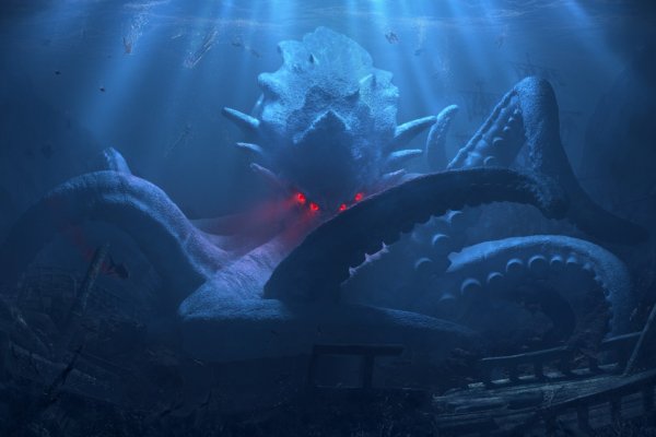 Kraken forum