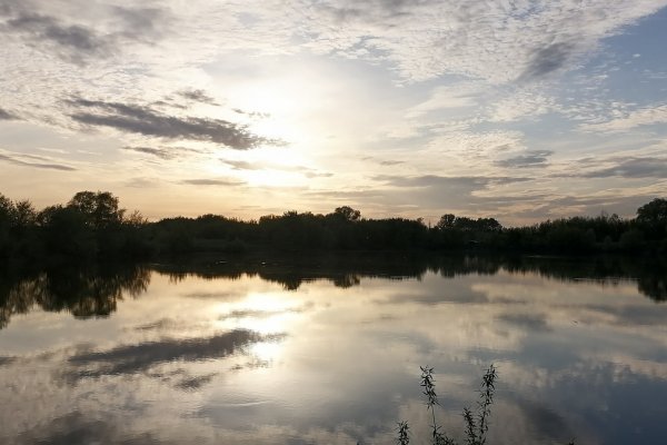 Кракен точка