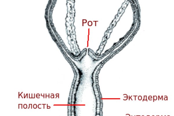 Короткая ссылка на кракен