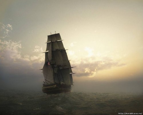 Kraken link